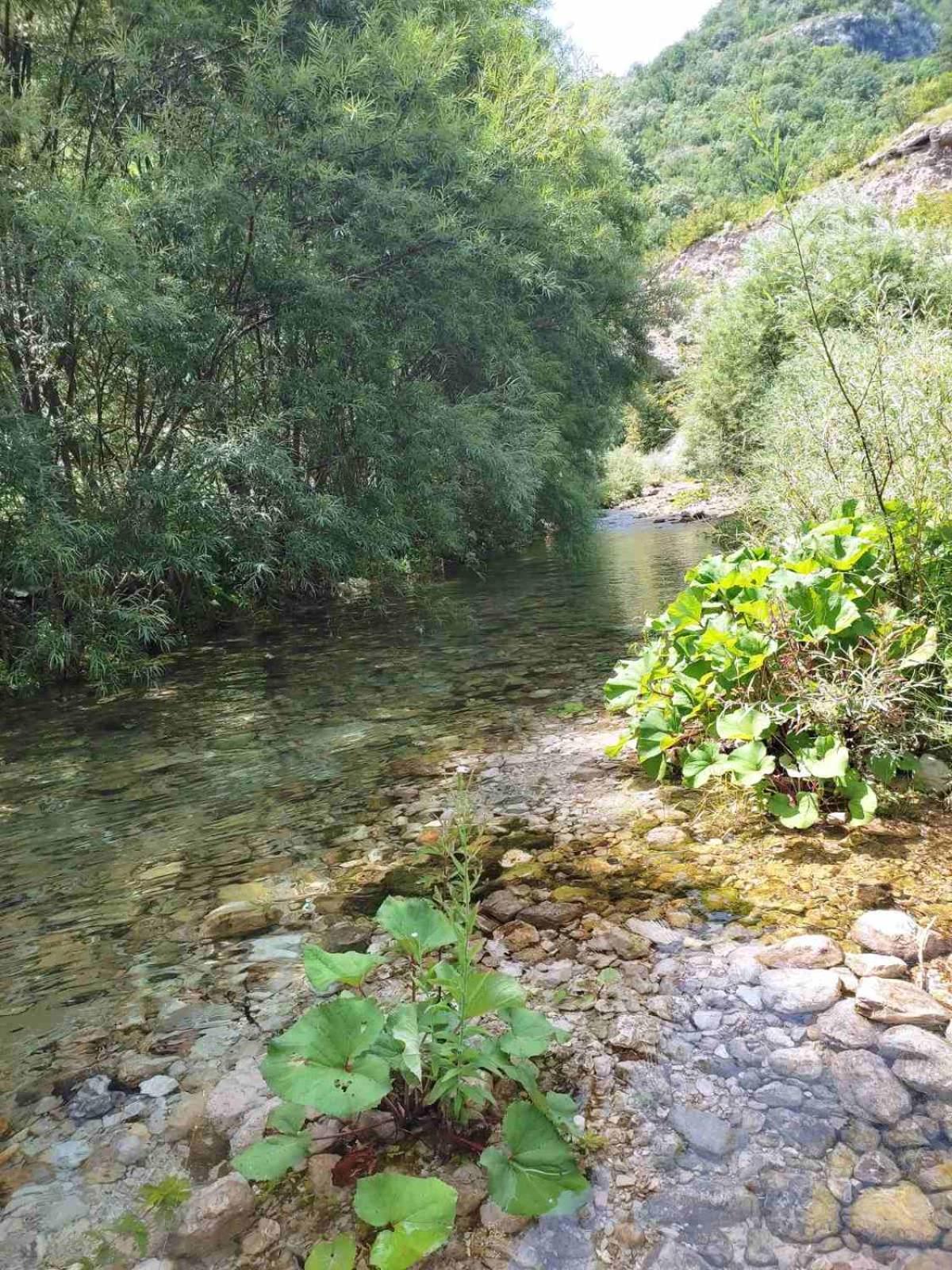 Kuca Za Odmor Diva Villa Mostar Kültér fotó